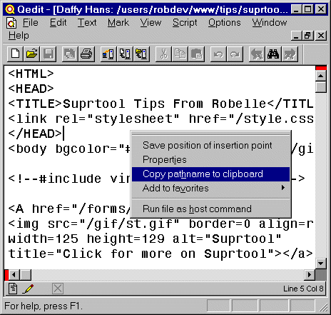 QWIN Copy path name example